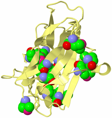 Image Biological Unit 4