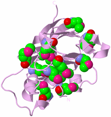 Image Biological Unit 5