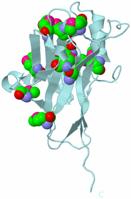 Image Biological Unit 6