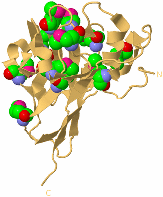 Image Biological Unit 7