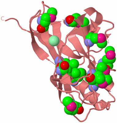 Image Biological Unit 8