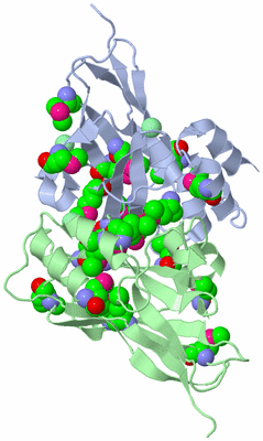 Image Biological Unit 9