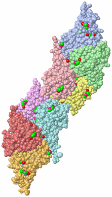 Image Asym. Unit - sites