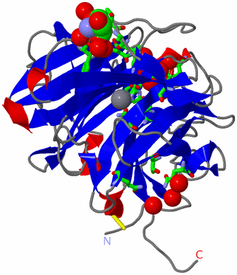 Image Asym./Biol. Unit - sites