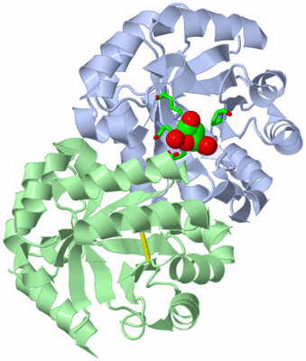 Image Biol. Unit 1 - sites