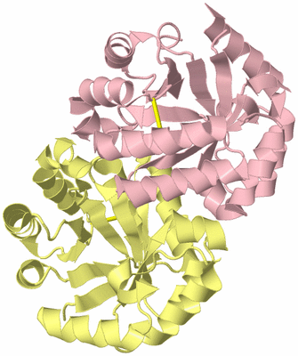 Image Biological Unit 2