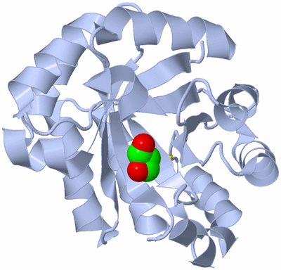 Image Biological Unit 3