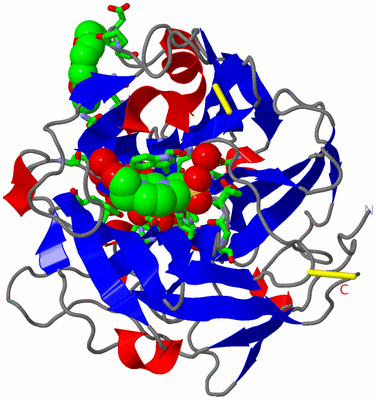 Image Asym./Biol. Unit - sites