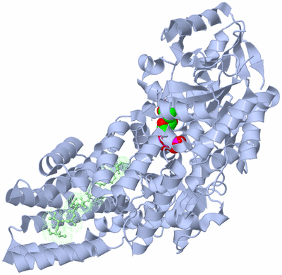 Image Asym./Biol. Unit