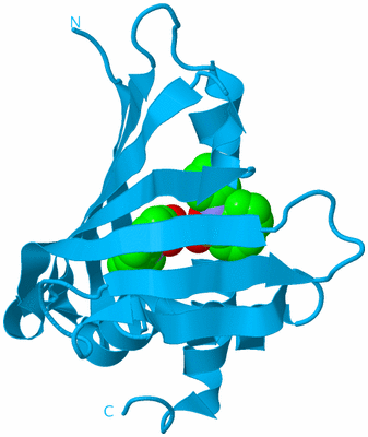 Image Biological Unit 10