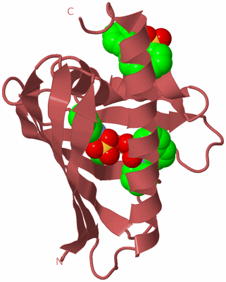 Image Biological Unit 11