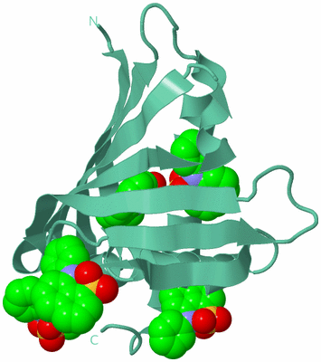 Image Biological Unit 12