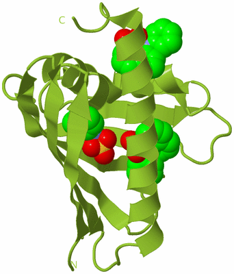 Image Biological Unit 13