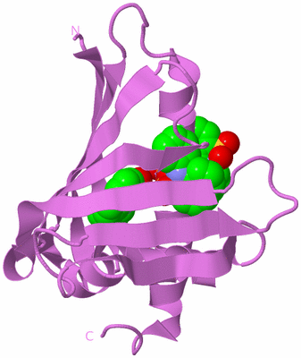 Image Biological Unit 14