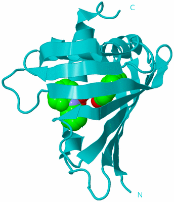 Image Biological Unit 15