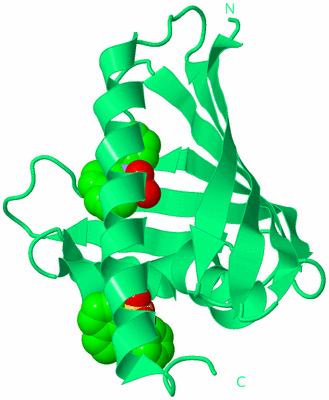 Image Biological Unit 16