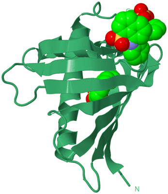 Image Biological Unit 17