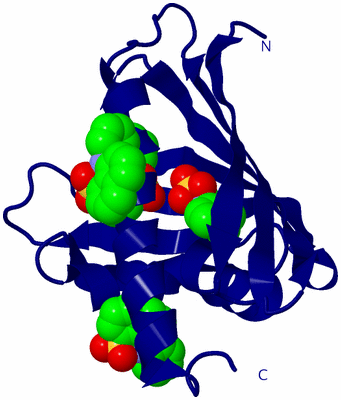 Image Biological Unit 18