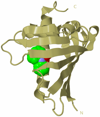 Image Biological Unit 19