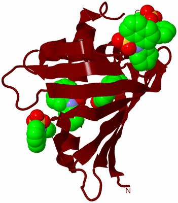 Image Biological Unit 21