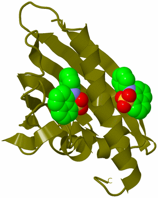 Image Biological Unit 22