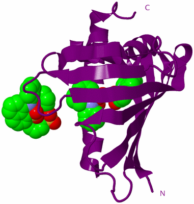 Image Biological Unit 23