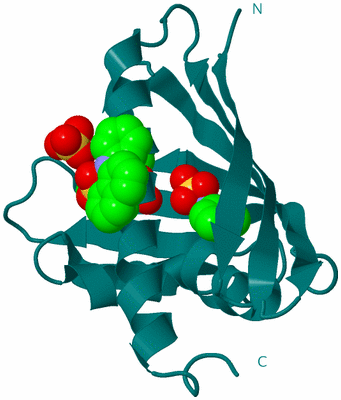 Image Biological Unit 24