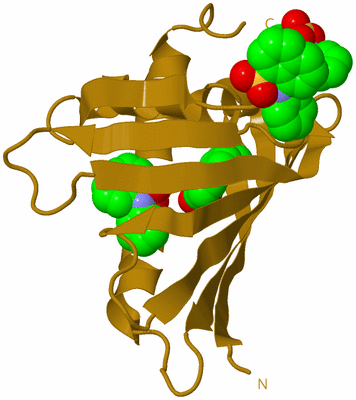 Image Biological Unit 25