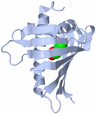 Image Biological Unit 27