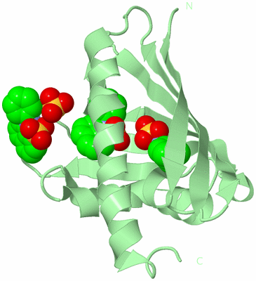 Image Biological Unit 28