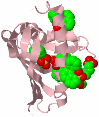 Image Biological Unit 3