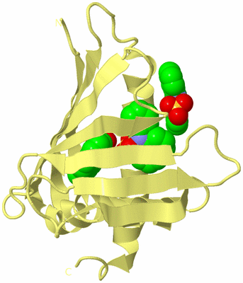 Image Biological Unit 4