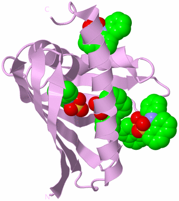 Image Biological Unit 5