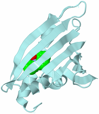 Image Biological Unit 6