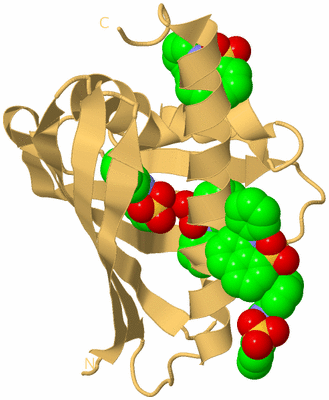 Image Biological Unit 7