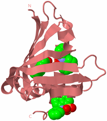 Image Biological Unit 8