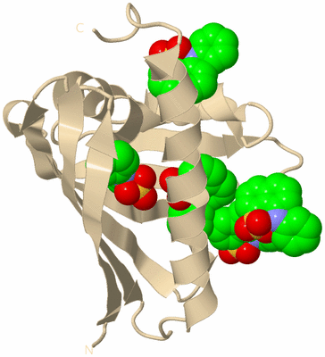 Image Biological Unit 9