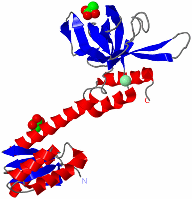 Image Asym./Biol. Unit