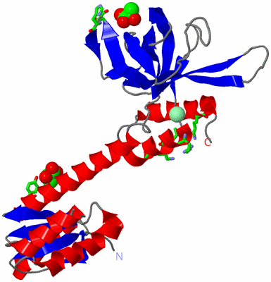 Image Asym./Biol. Unit - sites