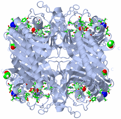 Image Biol. Unit 1 - sites