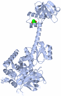 Image Biological Unit 1