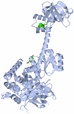 Image Biol. Unit 1 - sites