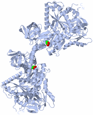 Image Biological Unit 2