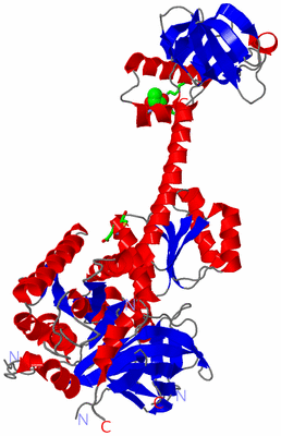 Image Asym. Unit - sites