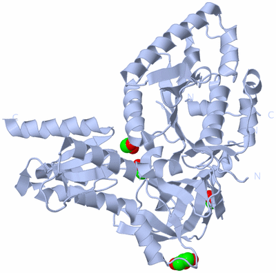 Image Biological Unit 1