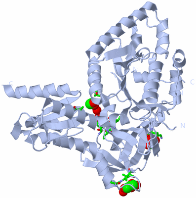 Image Biol. Unit 1 - sites