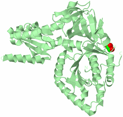 Image Biological Unit 2