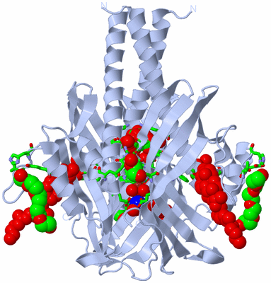 Image Biol. Unit 1 - sites