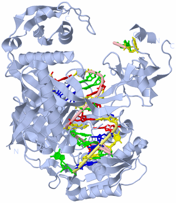 Image Biological Unit 1