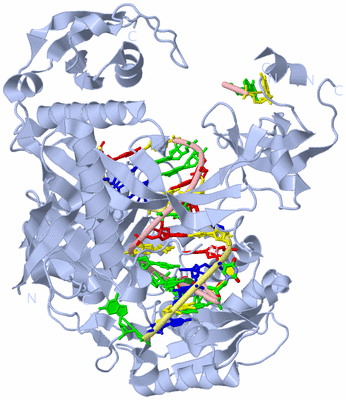 Image Biol. Unit 1 - sites